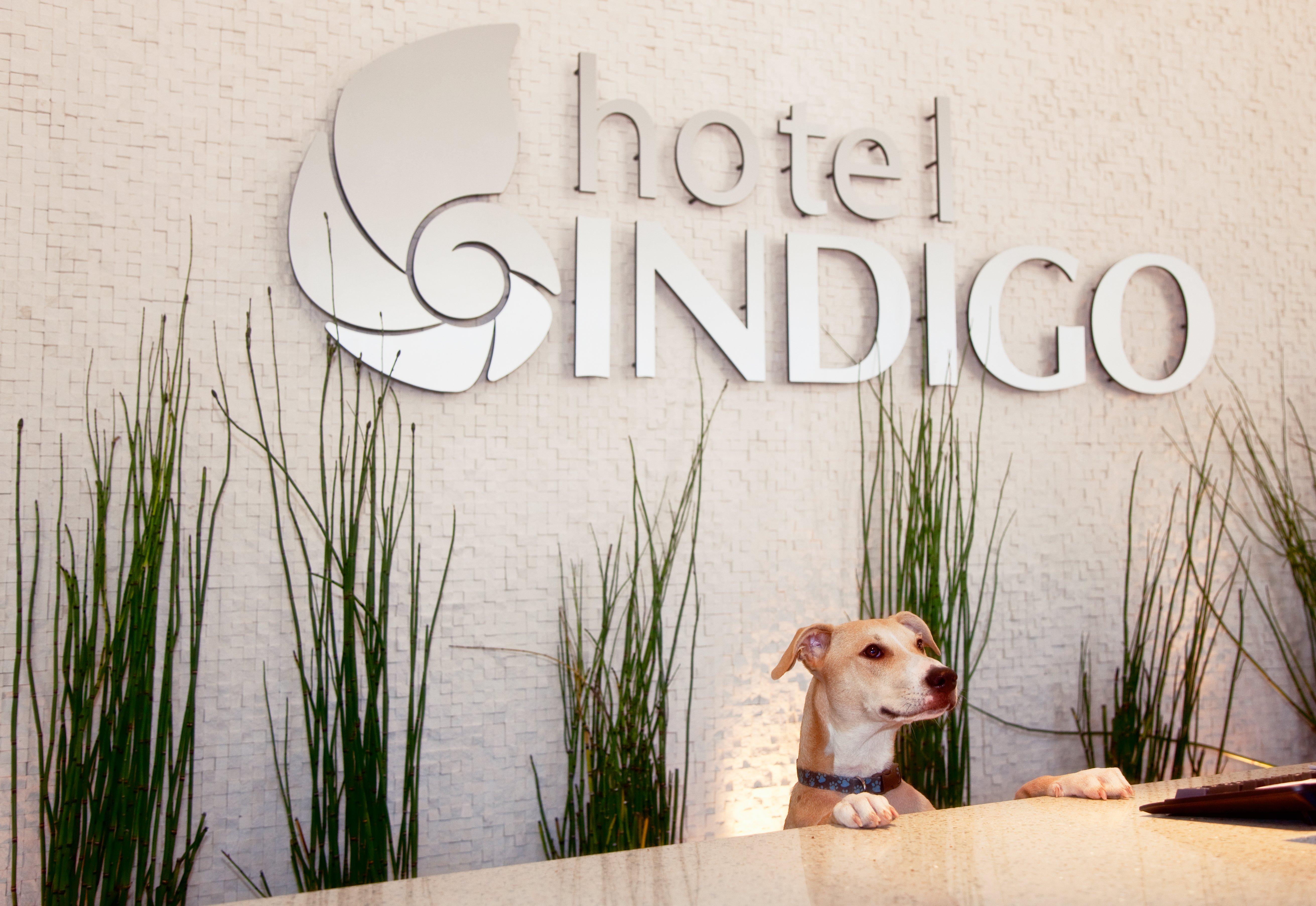 Hotel Indigo San Diego - Gaslamp Quarter By Ihg Εξωτερικό φωτογραφία